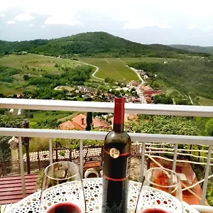 Bel Motovun