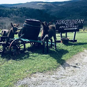 Agroturizam Toni Motovun